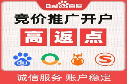 SEM竞价优化策略：成功案例解析